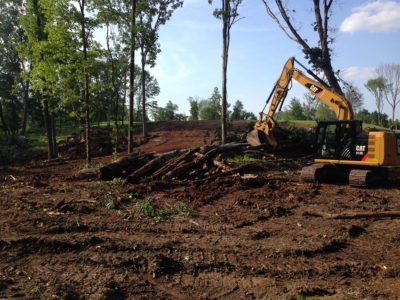 tree clearing